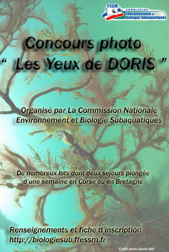 affiche_concours_09_